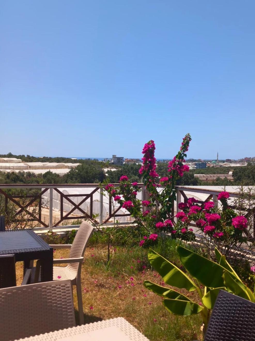 Bu Bungalow Hotel Demre Esterno foto